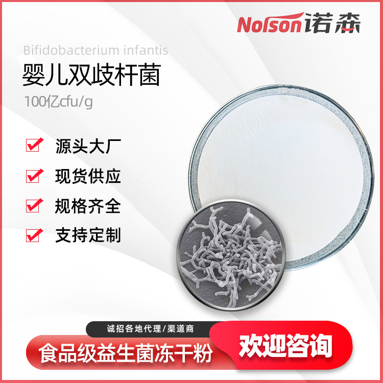 婴儿双歧杆菌