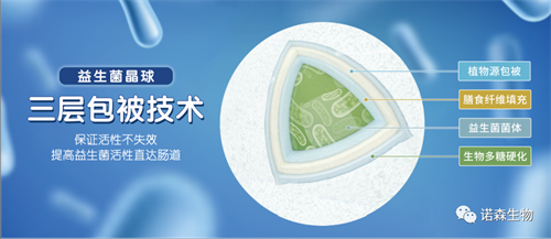 青岛诺森生物